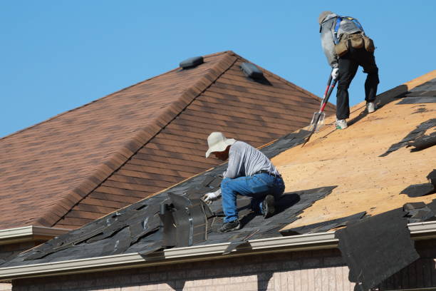 Best Roof Insulation Installation  in Bluffton, SC