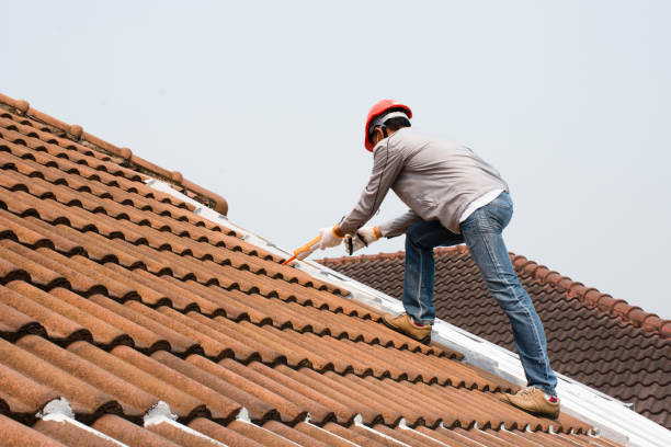 Best Roofing for New Construction  in Bluffton, SC