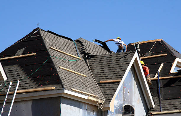 Best Roof Moss and Algae Removal  in Bluffton, SC