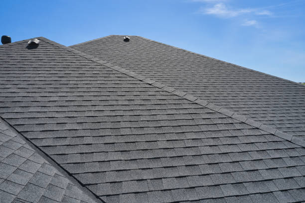 Best Sheet Metal Roofing  in Bluffton, SC
