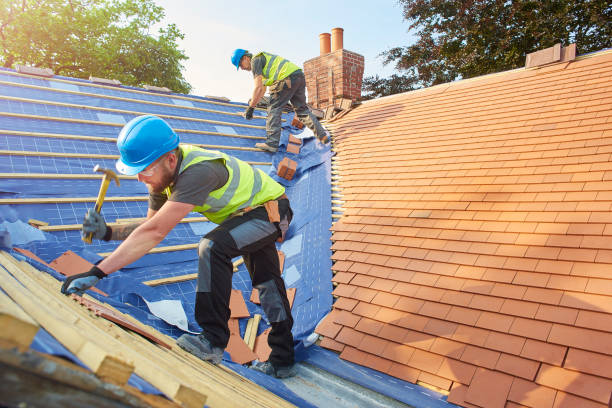 Best Skylight Installation and Repair  in Bluffton, SC